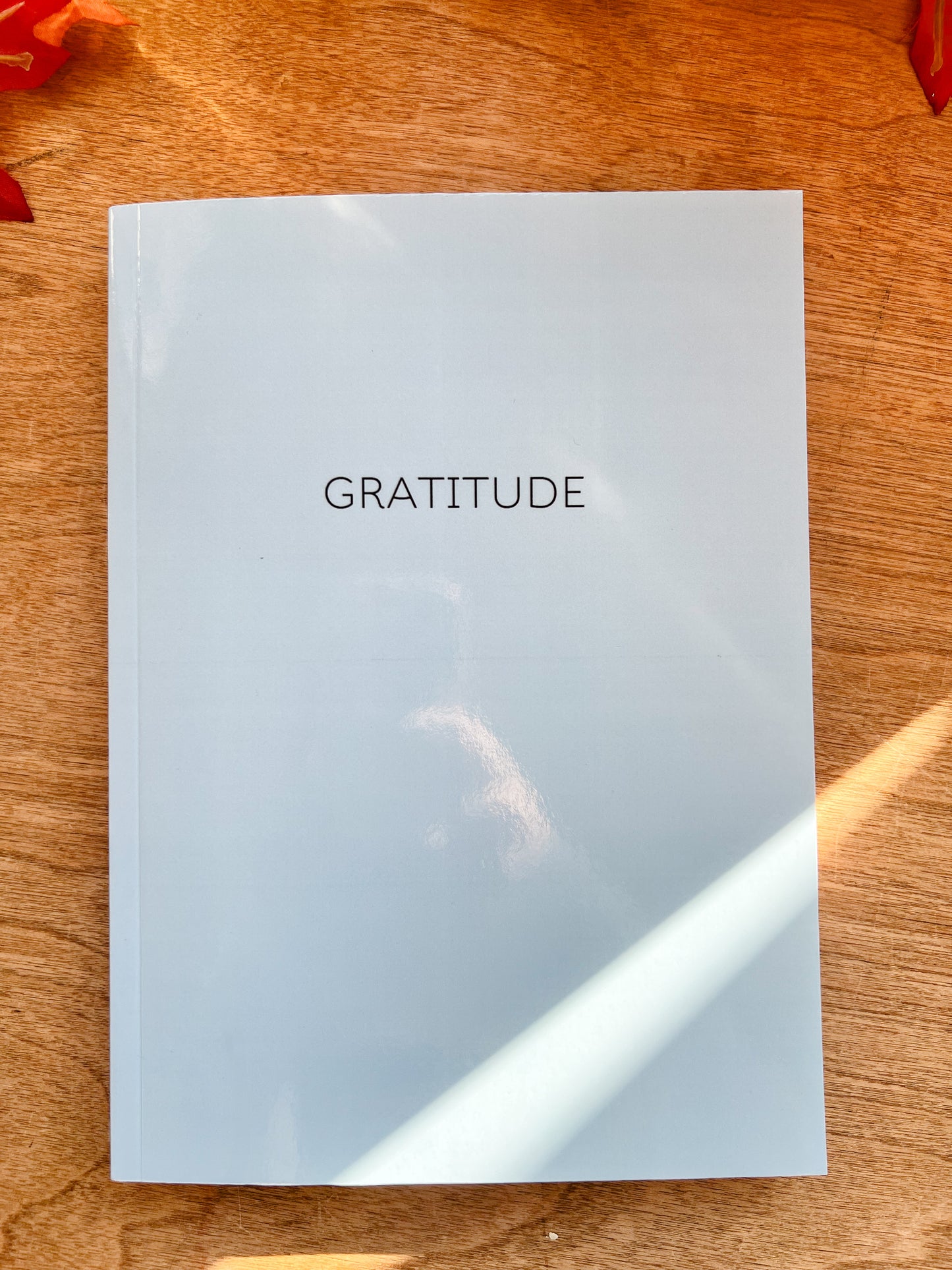 Gratitude Journal