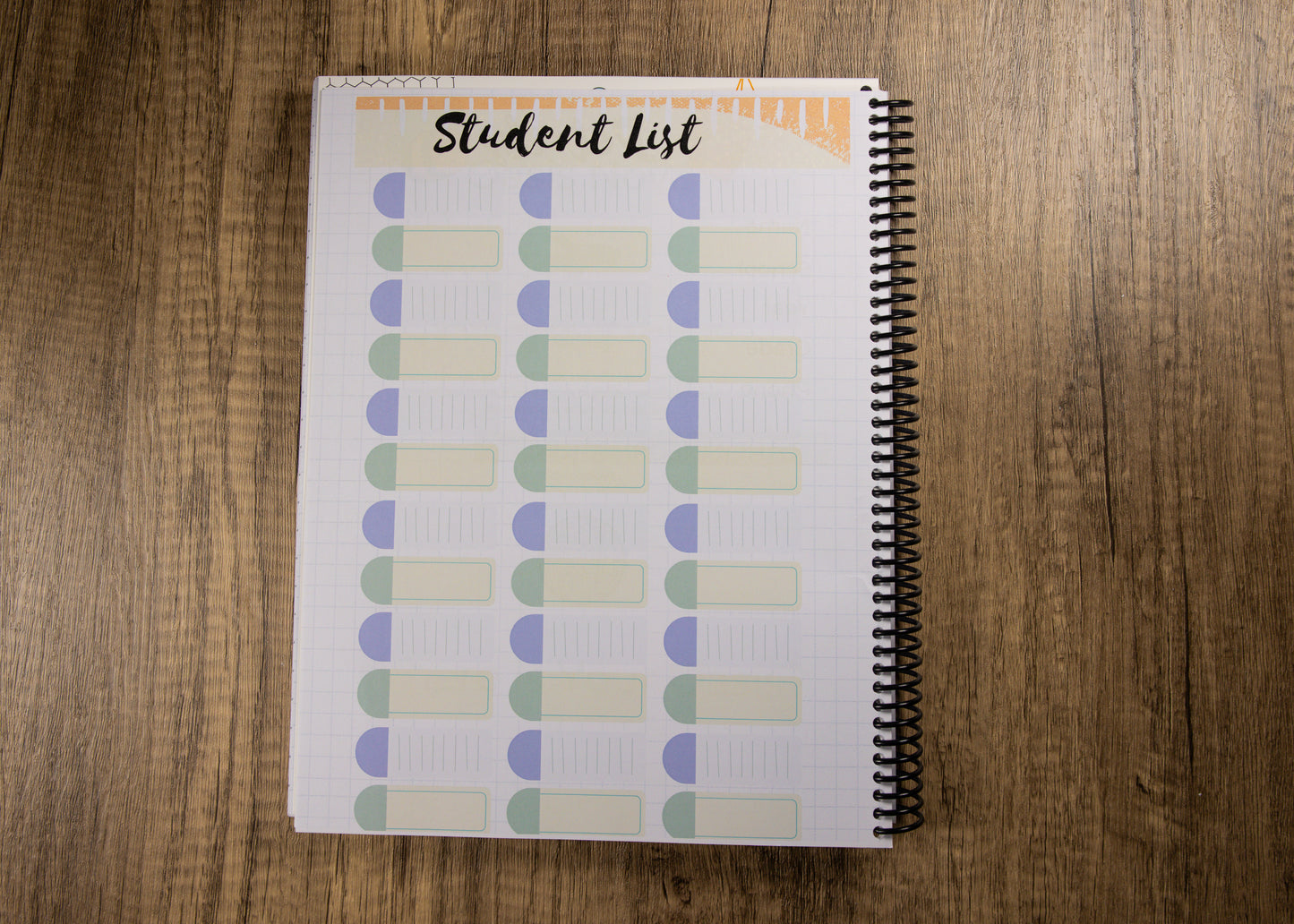 BUZZY BEE Teacher Planner